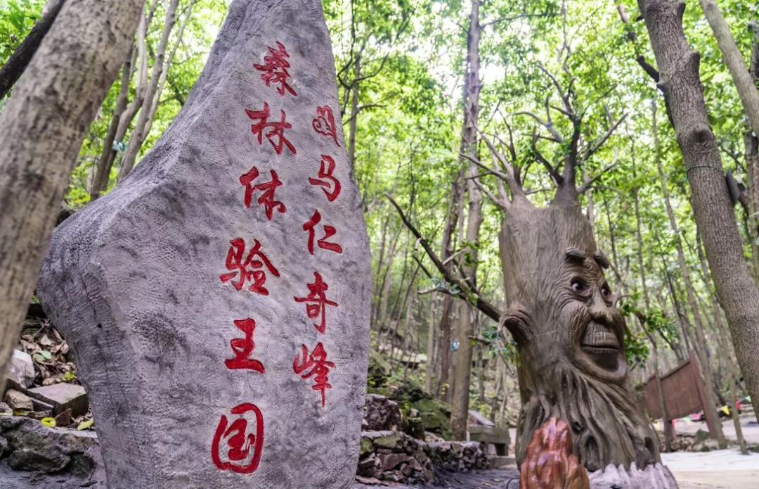 馬仁奇峰、大浦雙雙入選首批“安徽省職工療休養(yǎng)基地”！