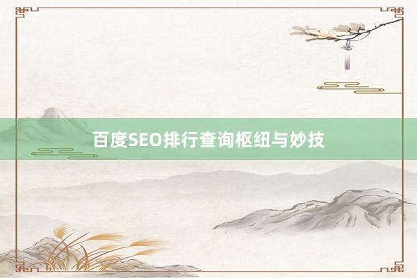 百度SEO排行查询枢纽与妙技